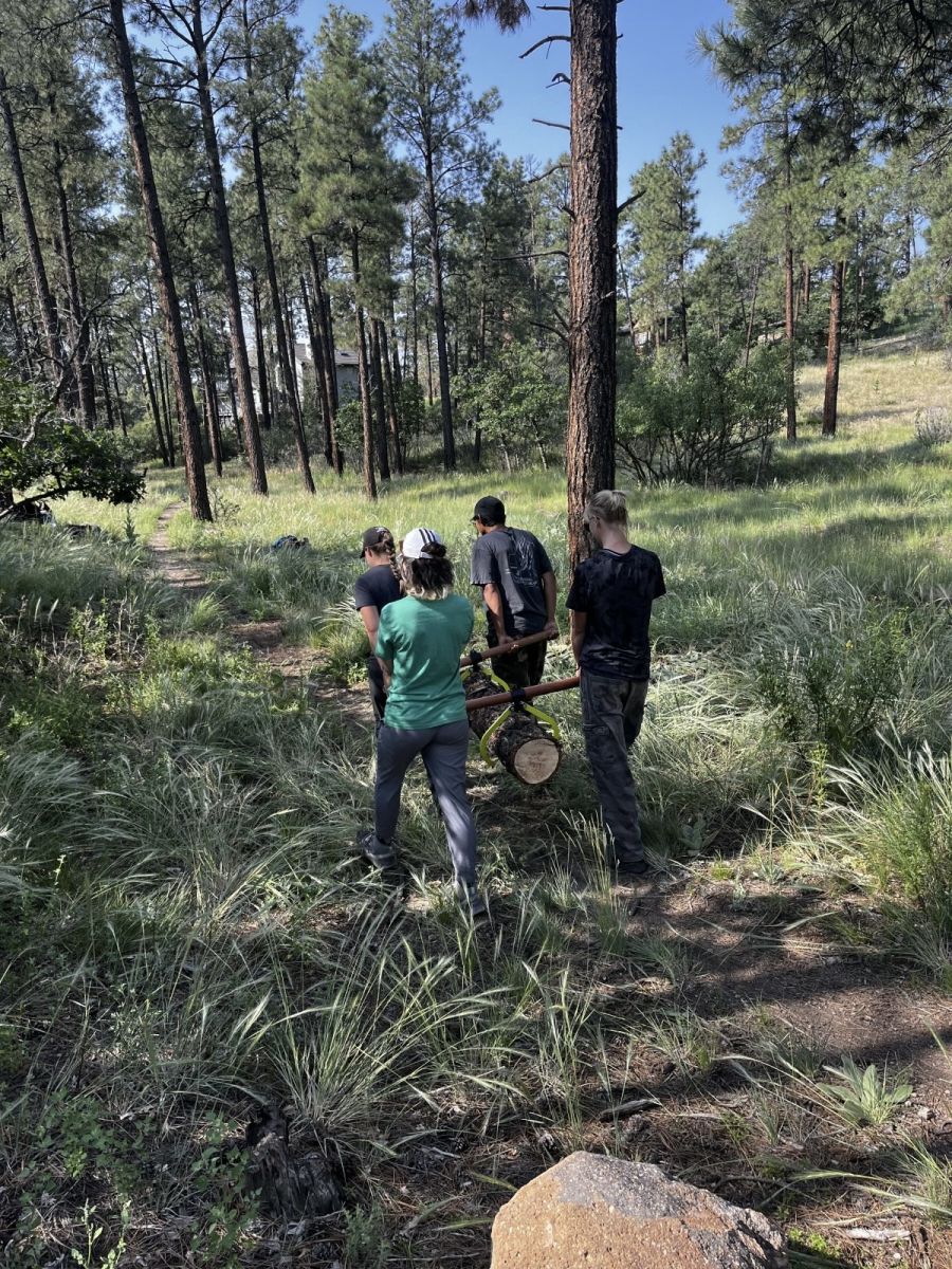 YCC crew carrying log on a forest trail